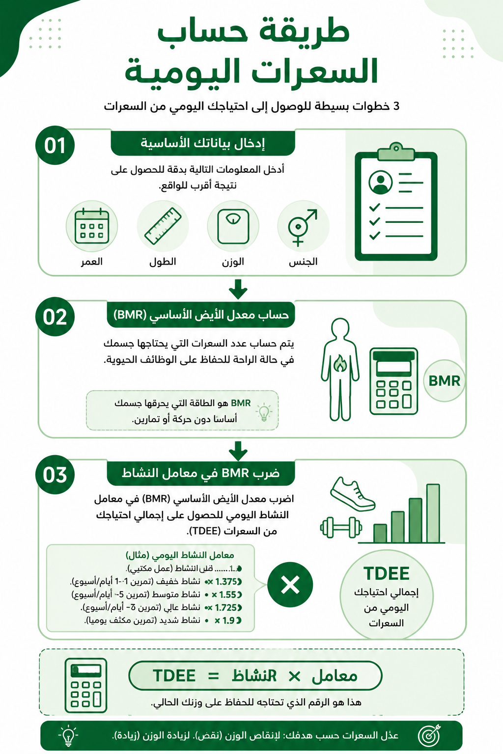 خطوات حساب السعرات الحرارية اليومية باستخدام BMR وTDEE