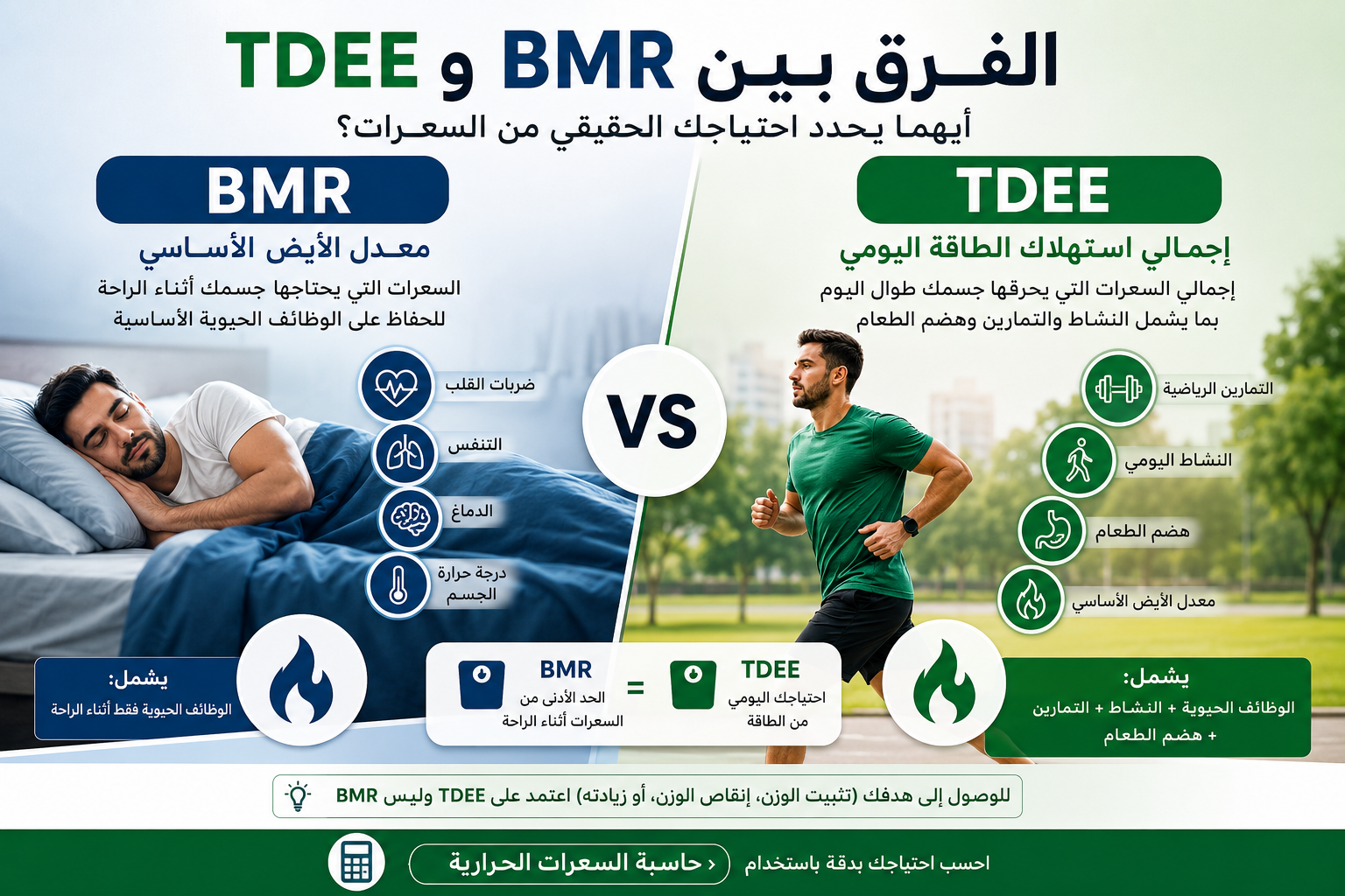 إنفوجرافيك يوضح الفرق بين معدل الأيض الأساسي BMR وإجمالي استهلاك الطاقة اليومي TDEE ودور كل منهما في حساب احتياج الجسم من السعرات الحرارية.